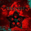 The Cult-Beyond Good And Evil